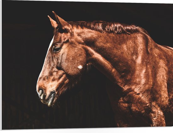 WallClassics - PVC Schuimplaat - Zijaanzicht van Bruin Paard - 80x60 cm Foto op PVC Schuimplaat (Met Ophangsysteem)