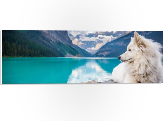 WallClassics - PVC Schuimplaat- Witte Hond liggend bij Bergen en Water - Samojeed - 60x20 cm Foto op PVC Schuimplaat