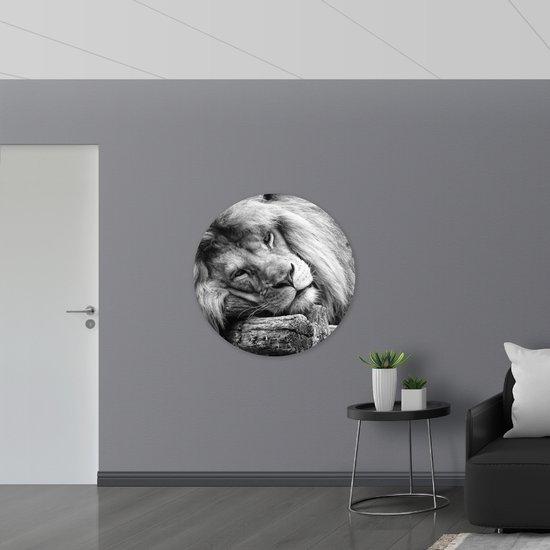 WallClassics - Muursticker Cercle - Lion Couché en Wit - 100x100 cm Photo sur Muursticker