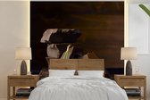 Behang - Fotobehang Kersen - Chocolade - Zwart - Breedte 260 cm x hoogte 260 cm