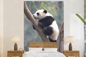 Behang - Fotobehang Panda - Dier - Boom - Breedte 145 cm x hoogte 220 cm