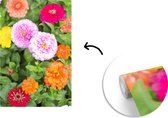 Papier peint photo en vinyle - Fleurs de zinnias colorées largeur 190 cm x hauteur 280 cm - Tirage photo sur papier peint (disponible en 7 tailles)