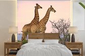 Behang - Fotobehang Giraffes - Lucht - Landschap - Breedte 350 cm x hoogte 350 cm