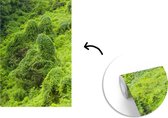 Behang - Fotobehang Kudzu in het groene landschap - Breedte 175 cm x hoogte 260 cm