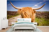 Behang - Fotobehang Schotse hooglander - Licht - Weide - Breedte 375 cm x hoogte 280 cm