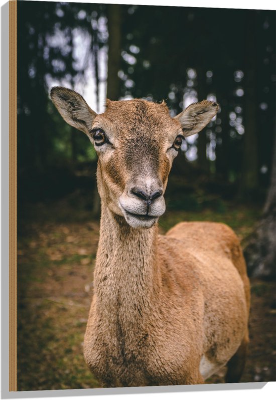 WallClassics - Hout - Bruin Hert in het Bos - 60x90 cm - 9 mm dik - Foto op Hout (Met Ophangsysteem)