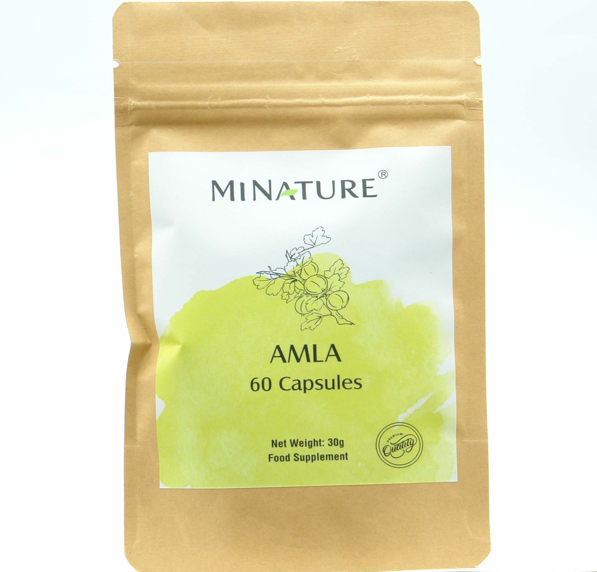 Goedkoopste Amla Capsules 60 stuks - 450mg Amla Poeder Per Vega Capsule - Gooseberry, Emblica Fruit Powder - 100 Plantaardig