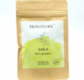 Amla Capsules 60 stuks - 450mg Amla Poeder Per Vega Capsule - Gooseberry, Emblica Fruit Powder - 100% Plantaardig