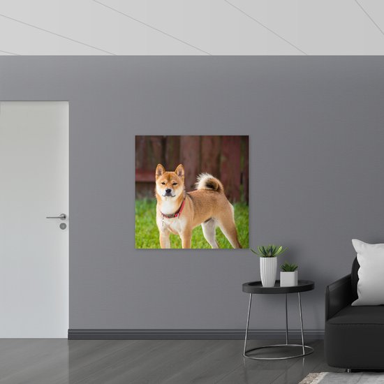 WallClassics - Bois - Chien marron avec collier rouge dans l'herbe - 100x100 cm - 9 mm d'épaisseur - Photo sur bois (avec système de suspension)