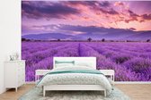 Behang - Fotobehang Lavendel - Paars - Bloemen - Veld - Breedte 295 cm x hoogte 220 cm