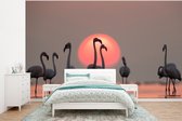 Behang - Fotobehang Vogel - Flamingo - Zonsondergang - Roze - Breedte 295 cm x hoogte 220 cm