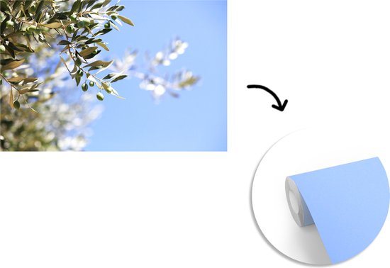 Branches de l'olivier en France fotobehang