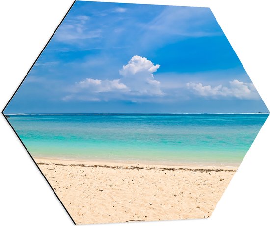 Dibond Hexagon - Wit Strand met Helderblauwe Oceaan - 70x60.9 cm Foto op Hexagon (Met Ophangsysteem)