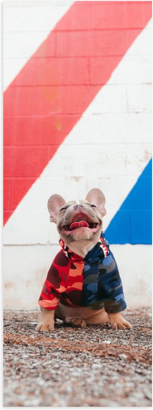 WallClassics - Poster Glanzend – Blije Hond met Trui en Kleurrijke Achtergrond - 20x60 cm Foto op Posterpapier met Glanzende Afwerking