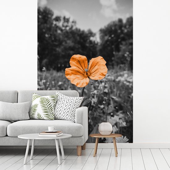 Papier peint - Papiers Papier peint photo Fleurs - Zwart - Wit - Oranje - Largeur 225 cm x Hauteur 350 cm