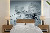 Behang - Fotobehang Stilleven - Bladeren - Zwart - Wit - Breedte 300 cm x hoogte 300 cm