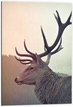 WallClassics - Dibond - Bruin Hert met Groot Gewei - 60x90 cm Foto op Aluminium (Wanddecoratie van metaal)