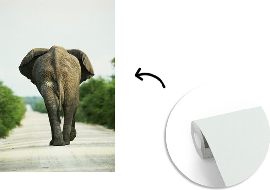 Papier peint - Papiers Papier peint photo Dos d'éléphant - Largeur 200 cm x Hauteur 300 cm
