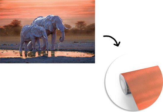 Behang - Fotobehang Twee olifanten bij zonsondergang - Breedte 330 cm x hoogte 220 cm