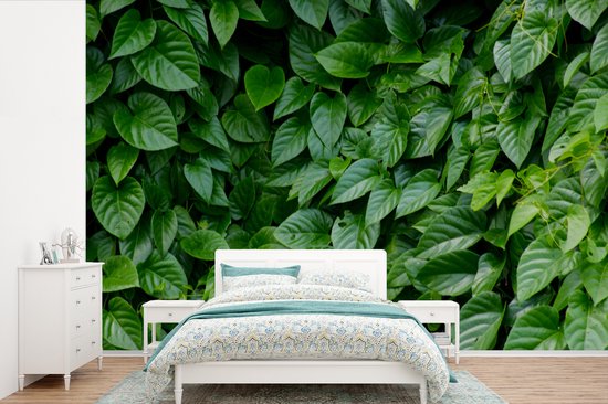 Papier peint Papier peint photo en vinyle - Feuilles vertes largeur 330 cm x hauteur 220 cm - Tirage photo sur papier peint (disponible en 7 tailles)