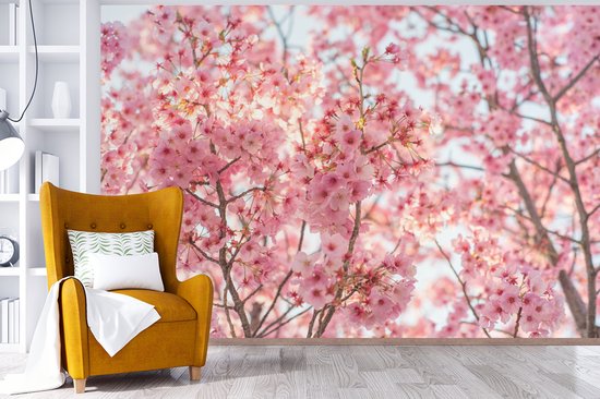 Papier peint Papier peint photo en vinyle - Fleur de cerisier au Japon largeur 420 cm x hauteur 280 cm - Tirage photo sur papier peint (disponible en 7 tailles)