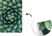 Papier peint photo vinyle - Photo d'une plant botanique vue de dessus largeur 190 cm x hauteur 280 cm - Tirage photo sur papier peint (disponible en 7 tailles)