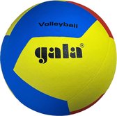 Gala Volley-ball volley-ball jeune adulte léger - édition 2023