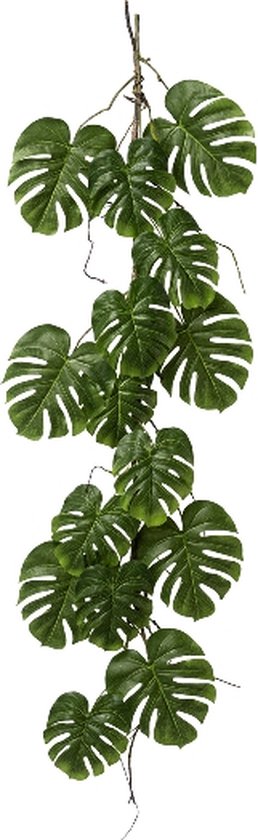 Kopu® Plante suspendue Séparation Philodendron 119 cm - Suspension pour plantes en macramé XL