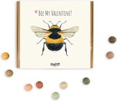 Blossombs Valentijn Giftbox Medium - Valentine Bee - Zaadbommetjes 9 stuks - Bijen en Vlinders - Veldbloemen