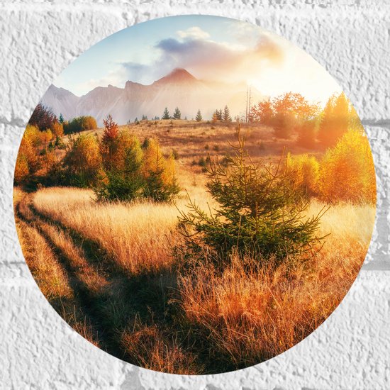 Muursticker Cirkel - Felle Zon over Landschap met Oranje Bomen en Droge Grassen - 20x20 cm Foto op Muursticker