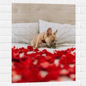 WallClassics - Muursticker - Hondje op Bed met Rode Rozenblaadjes - Franse Buldog - 60x80 cm Foto op Muursticker