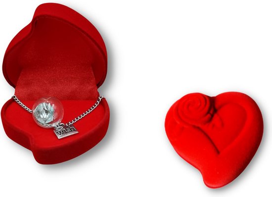 Ketting - Hanger - Sieradendoos -Geschenkset vrouwen - Valentijn - Cadeau vrouw - Liefde