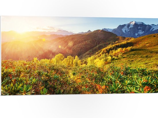 PVC Schuimplaat - Fel Zonlicht over Bergen met Bloemen, Sneeuw en Planten - 100x50 cm Foto op PVC Schuimplaat (Met Ophangsysteem)