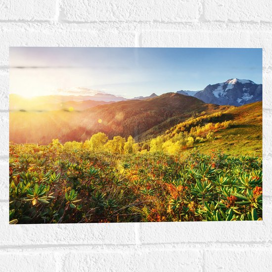 Muursticker - Fel Zonlicht over Bergen met Bloemen, Sneeuw en Planten - 40x30 cm Foto op Muursticker