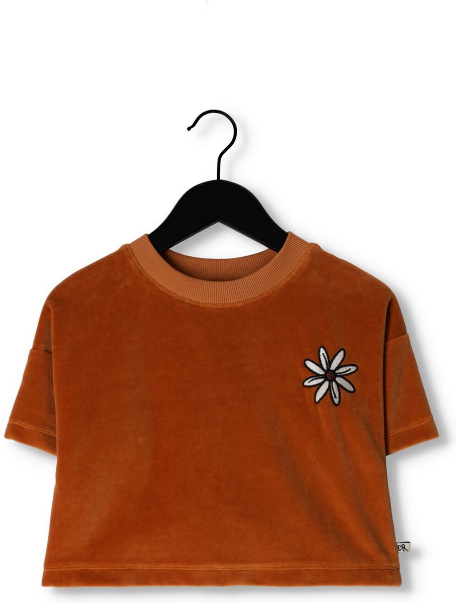 Carlijnq Flower - Cropped Crewneck T-shirt Wt Embroidery Tops & T-shirts Meisjes - Shirt - Cognac - Maat 134/140