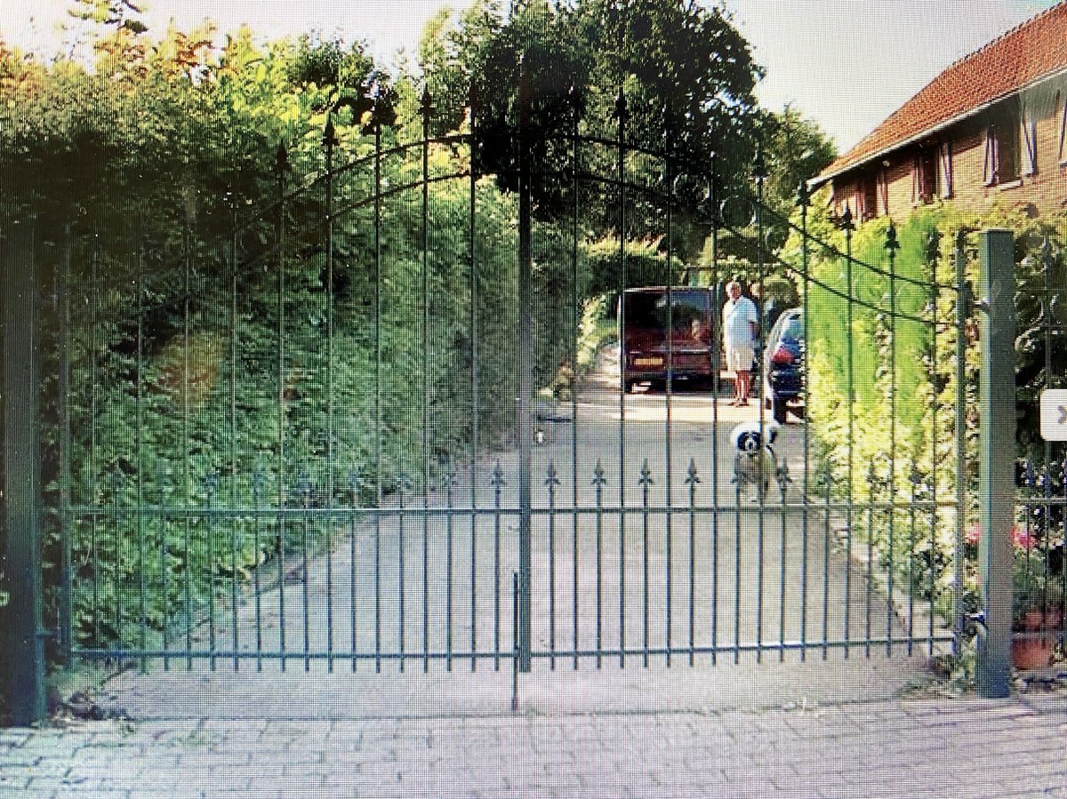 klassieke ijzeren tuinpoort met vleugels model Antwerpen kleur zwart