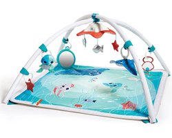 Tiny Love Babygym Gymini - Treasure the Ocean