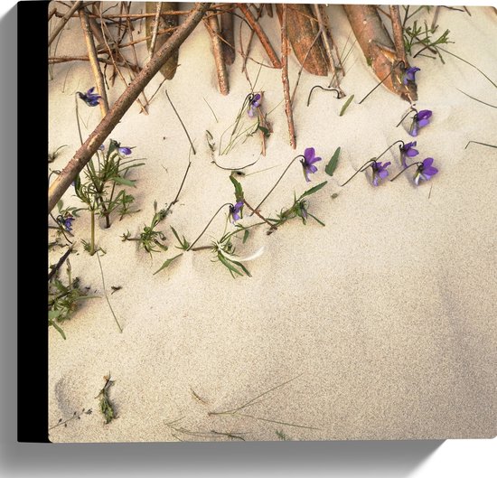 WallClassics - Toile - Branches en bois avec fleurs violettes poussant contre le mur - 30x30 cm Photo sur toile (Décoration murale sur toile)