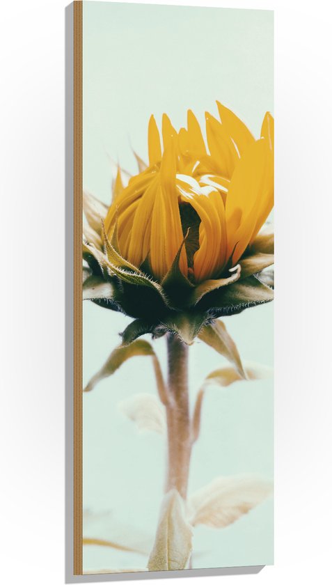WallClassics - Hout - Openslaande Gele Bloem - 40x120 cm - 9 mm dik - Foto op Hout (Met Ophangsysteem)