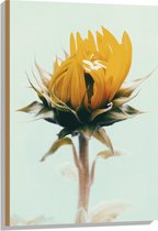 WallClassics - Hout - Openslaande Gele Bloem - 60x90 cm - 9 mm dik - Foto op Hout (Met Ophangsysteem)