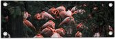 Tuinposter – Groep Flamingo's in het Water tussen Bomen en Planten - 60x20 cm Foto op Tuinposter (wanddecoratie voor buiten en binnen)