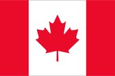 Vlag Canada 40x60cm