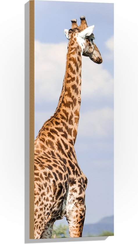 Hout - Achteraanzicht van Giraffe - 30x90 cm - 9 mm dik - Foto op Hout (Met Ophangsysteem)
