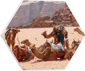 WallClassics - PVC Schuimplaat Hexagon - Kamelen in de Woestijn - 30x26.1 cm Foto op Hexagon (Met Ophangsysteem)