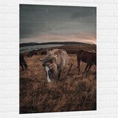 WallClassics - Muursticker - Paarden op een Heuvel - 80x120 cm Foto op Muursticker