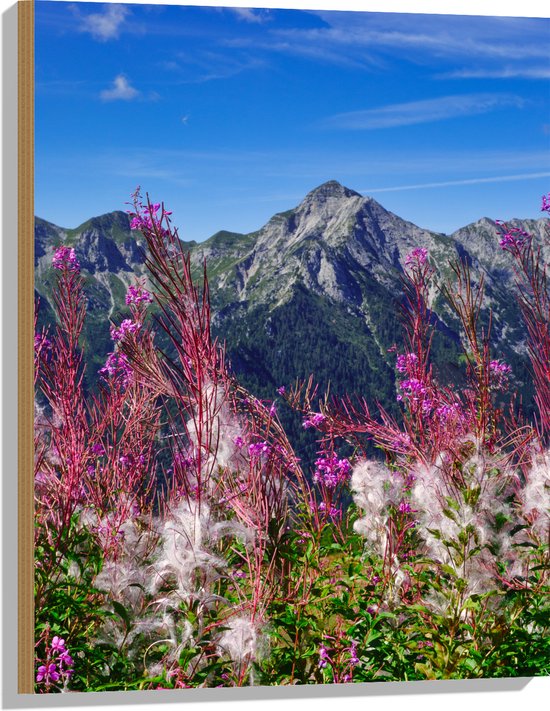 Hout - Prachtige Bloemen aan de Rand van Cliff in Berggebied - 60x80 cm - 9 mm dik - Foto op Hout (Met Ophangsysteem)