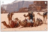 WallClassics - Tuinposter – Kamelen in de Woestijn - 60x40 cm Foto op Tuinposter (wanddecoratie voor buiten en binnen)