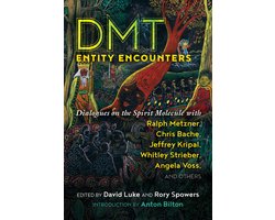DMT Entity Encounters