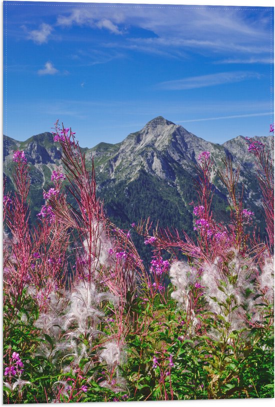 Vlag - Prachtige Bloemen aan de Rand van Cliff in Berggebied - 40x60 cm Foto op Polyester Vlag