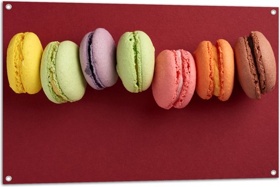 Tuinposter – Rij van Verschillende Smaken Macarons op Rode Achtergrond - 105x70 cm Foto op Tuinposter (wanddecoratie voor buiten en binnen)